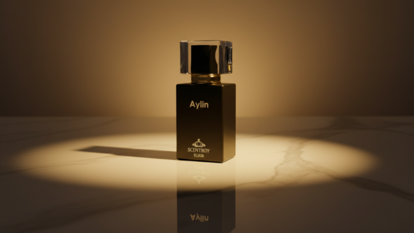 AYLIN-Impression of Baccarat Rouge